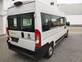 Fiat Ducato Ducato Maxi Shuttle L4H2 8 Sitze 4 Jahre Garantie Білий - thumbnail 9