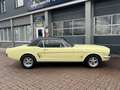 Ford Mustang USA 4.6 V8 LPG GT 289 Bj 1966 TOP STAAT 301PK !! m Béžová - thumbnail 4