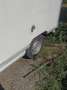 Citroen Jumpy L1 BlueHDi 145 - thumbnail 5