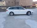 Skoda Octavia 1.0 Tsi Wagon Executive Bianco - thumbnail 7