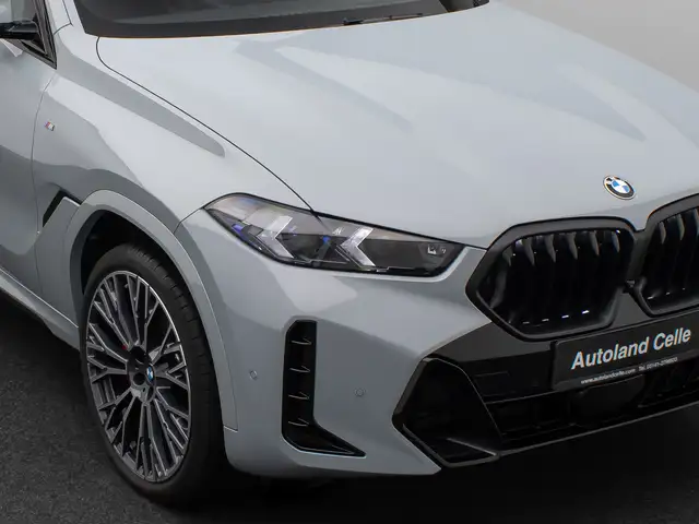 BMW X6 view 18