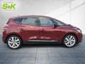 Renault Scenic LIMITED TCe 160 Automatik*SHZ*KAMERA*KLIMA* Rouge - thumbnail 5