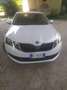 Skoda Octavia Octavia Wagon 1.6 tdi Style 115cv dsg Bianco - thumbnail 5