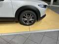 Mazda CX-30 186PS EXCLUSIVE-LINE*ACC*Bose*LenkrHZ*360* Weiß - thumbnail 5