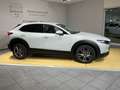 Mazda CX-30 186PS EXCLUSIVE-LINE*ACC*Bose*LenkrHZ*360* Weiß - thumbnail 4