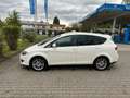 SEAT Altea XL 1.9 TDI DPF DSG Reference Comfort Beige - thumbnail 4