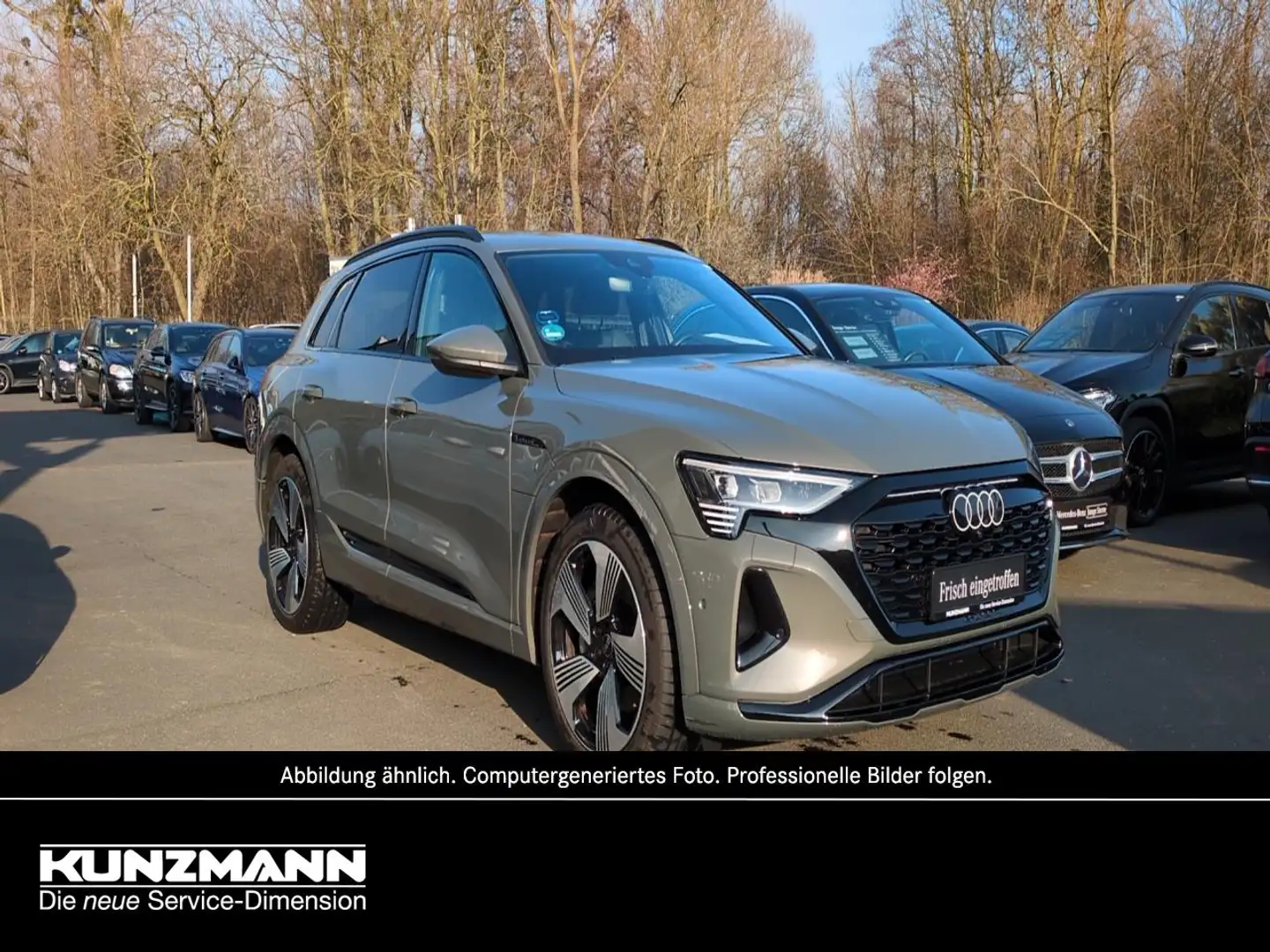 Audi Q8 e-tron 50 quattro advanced MMI Navi+ Kamera Gris - 2