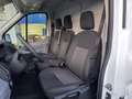 Ford Transit 310 96kW L3H2 Van Trend Delantera Blanco - thumbnail 15