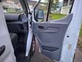Ford Transit 310 96kW L3H2 Van Trend Delantera Blanco - thumbnail 24