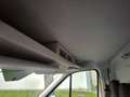 Ford Transit 310 96kW L3H2 Van Trend Delantera Blanco - thumbnail 21