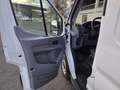 Ford Transit 310 96kW L3H2 Van Trend Delantera Blanco - thumbnail 12
