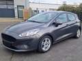 Ford Fiesta Cool Gris - thumbnail 3