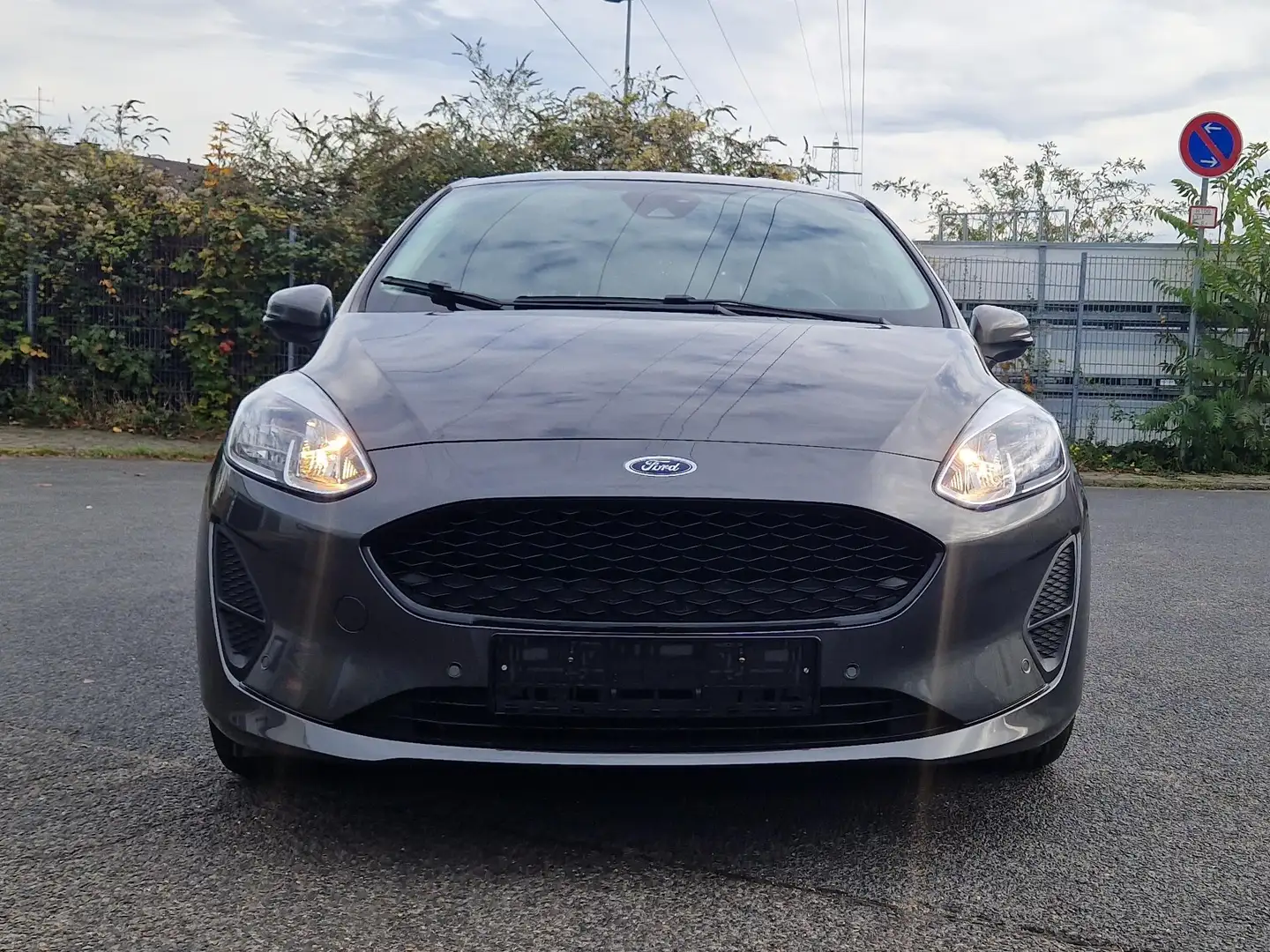 Ford Fiesta Cool Gris - 2