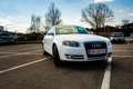 Audi A4 A4 1,9 TDI DPF Weiß - thumbnail 6