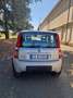 Fiat Panda 1.2 Climbing 4x4 - thumbnail 12