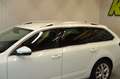 Skoda Octavia Combi 1,6 TDI ''AHK*LED*SITZH*NAVI*DAB'' Wit - thumbnail 12