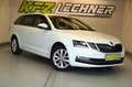 Skoda Octavia Combi 1,6 TDI ''AHK*LED*SITZH*NAVI*DAB'' Wit - thumbnail 3