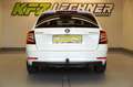 Skoda Octavia Combi 1,6 TDI ''AHK*LED*SITZH*NAVI*DAB'' Wit - thumbnail 5