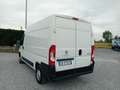 Peugeot Boxer 2.2HDI 140CV EURO6D PASSO MEDIO-TETTO MEDIO Bianco - thumbnail 6