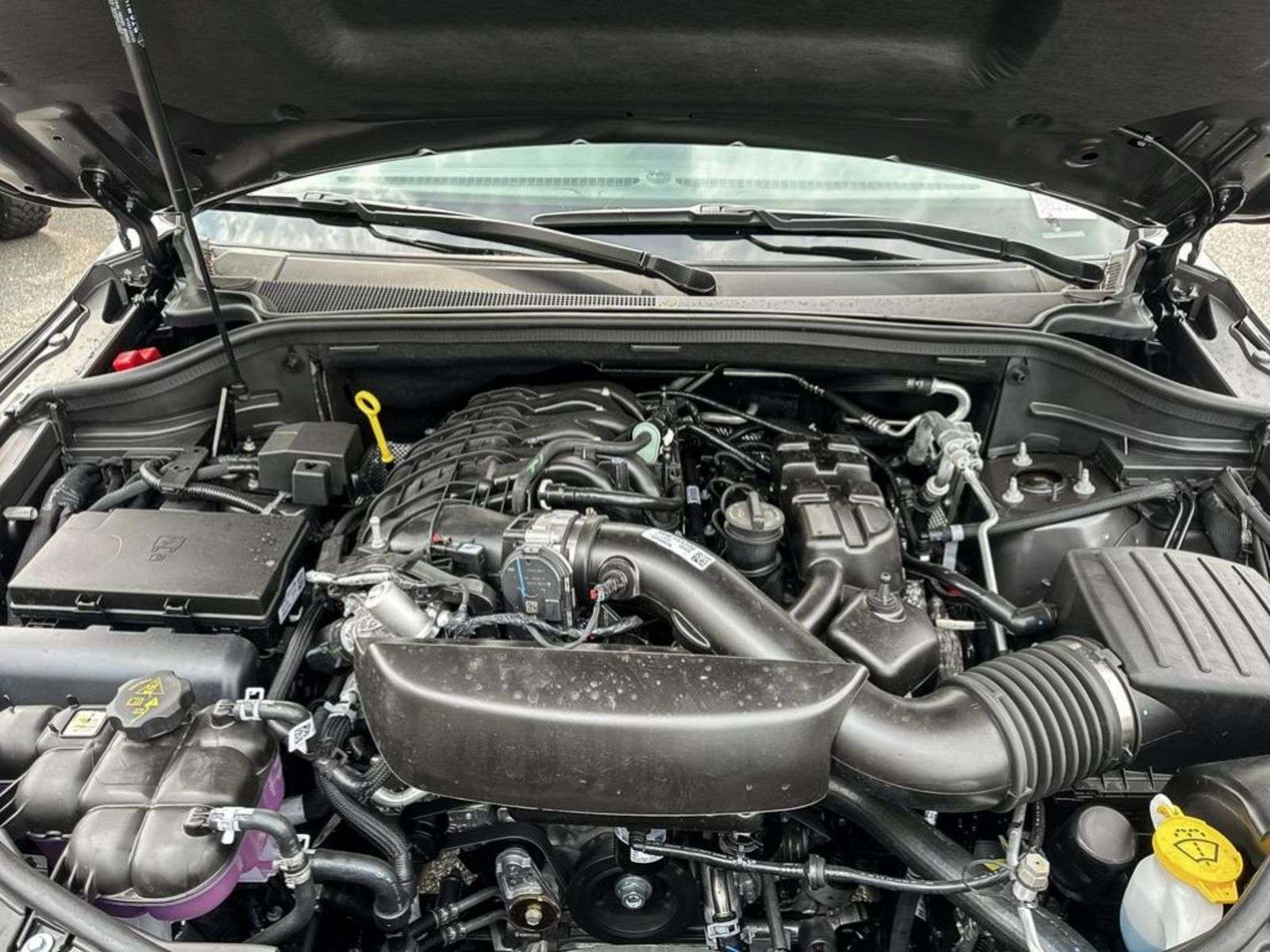 Image 8