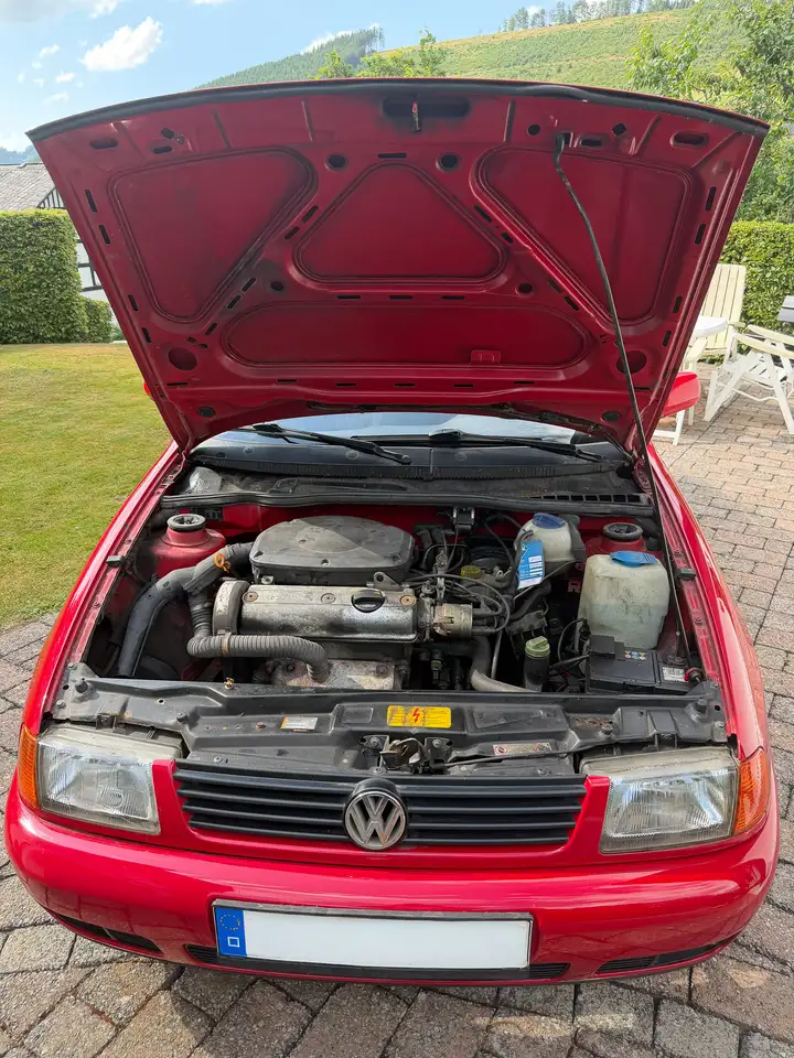 Volkswagen Polo Classic 75 Comfortline, foto 8
