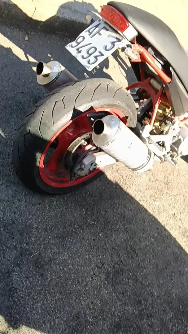 Ducati Monster 600 Blanco - 1