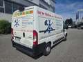 Citroen Jumpy Jumpy L2H2 130 Blanco - thumbnail 4