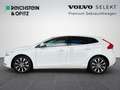 Volvo V40 D2 Geartronic Momentum/Navi/Klima/Sitz-HZ Weiß - thumbnail 8