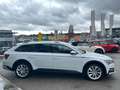 Skoda Superb Kombi 2,0 TDI 4x4 Scout DSG Weiß - thumbnail 4