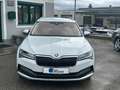 Skoda Superb Kombi 2,0 TDI 4x4 Scout DSG Weiß - thumbnail 3