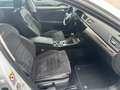 Skoda Superb Kombi 2,0 TDI 4x4 Scout DSG Weiß - thumbnail 9