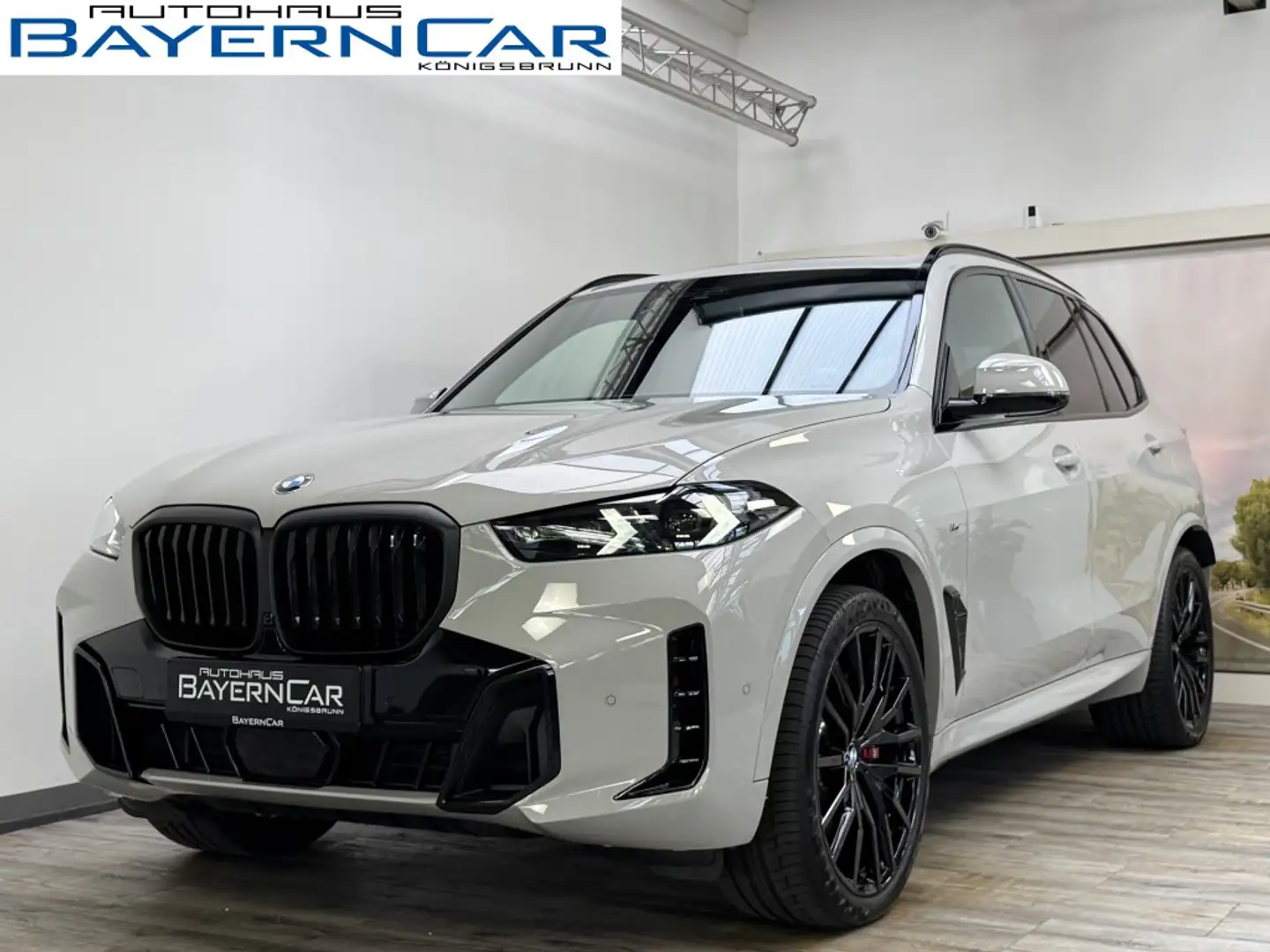 BMW X5 xDr.30d M Sport Pro FahrwerkProf Sonderlack Grau - 1