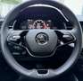Skoda Scala 1,5 TSI Selection DSG Grau - thumbnail 10