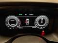 Nissan Qashqai Qashqai NEW MODEL 1.3 mhev N-Connecta 2wd 140 cv Bianco - thumbnail 15