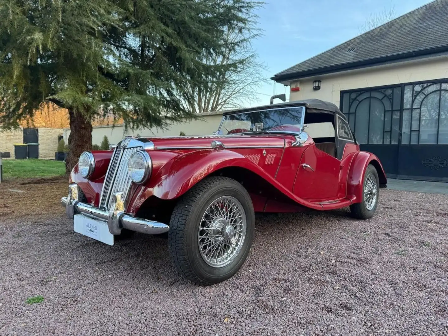 MG TF 1250 Rouge - 1