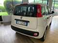 Fiat Panda 1.2 Easy 69cv Wit - thumbnail 3