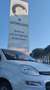 Fiat Panda 1.2 Easy 69cv Blanc - thumbnail 1