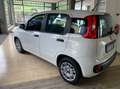 Fiat Panda 1.2 Easy 69cv Wit - thumbnail 5