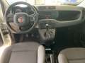 Fiat Panda 1.2 Easy 69cv Bianco - thumbnail 14