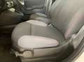 Fiat Panda 1.2 Easy 69cv Wit - thumbnail 15
