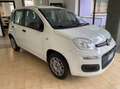 Fiat Panda 1.2 Easy 69cv Bianco - thumbnail 2