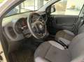 Fiat Panda 1.2 Easy 69cv Bianco - thumbnail 9