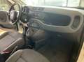 Fiat Panda 1.2 Easy 69cv Wit - thumbnail 12