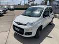 Fiat Panda 0.9 t.air t. natural power Easy 85cv Bianco - thumbnail 3