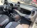 Fiat Panda 0.9 t.air t. natural power Easy 85cv Bianco - thumbnail 13