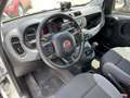 Fiat Panda 0.9 t.air t. natural power Easy 85cv Bianco - thumbnail 12