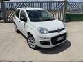 Fiat Panda 0.9 t.air t. natural power Easy 85cv Bianco - thumbnail 1