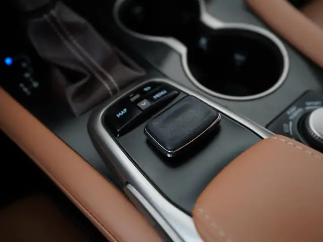Lexus RX view 11