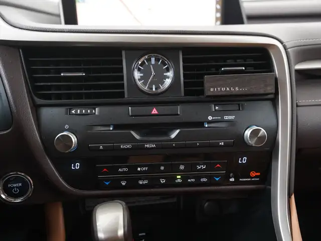 Lexus RX view 14
