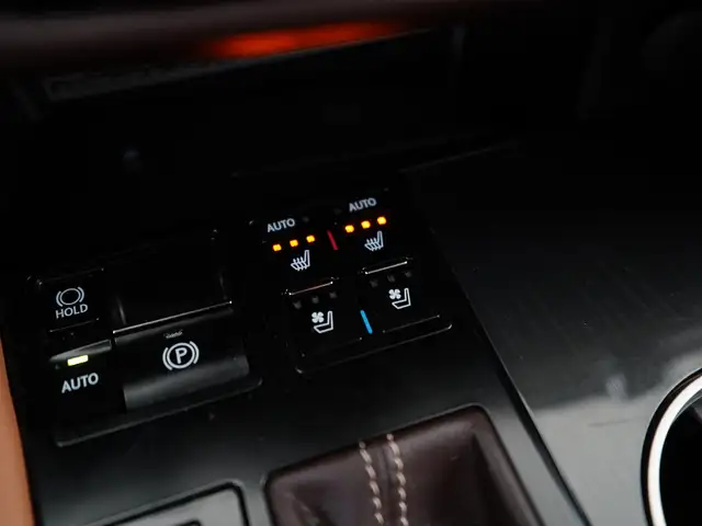 Lexus RX view 13